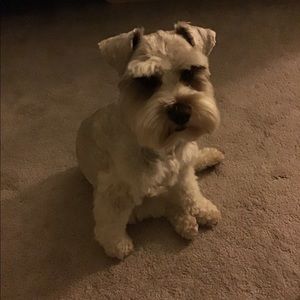 Meet your Posher, Pat